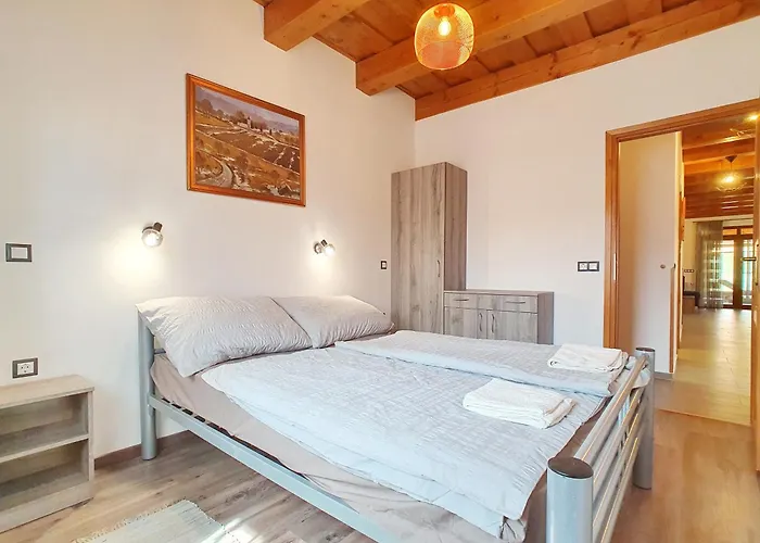 Prázdninový dům House Woody With Private Pool - Biro Tours Nr 88 *